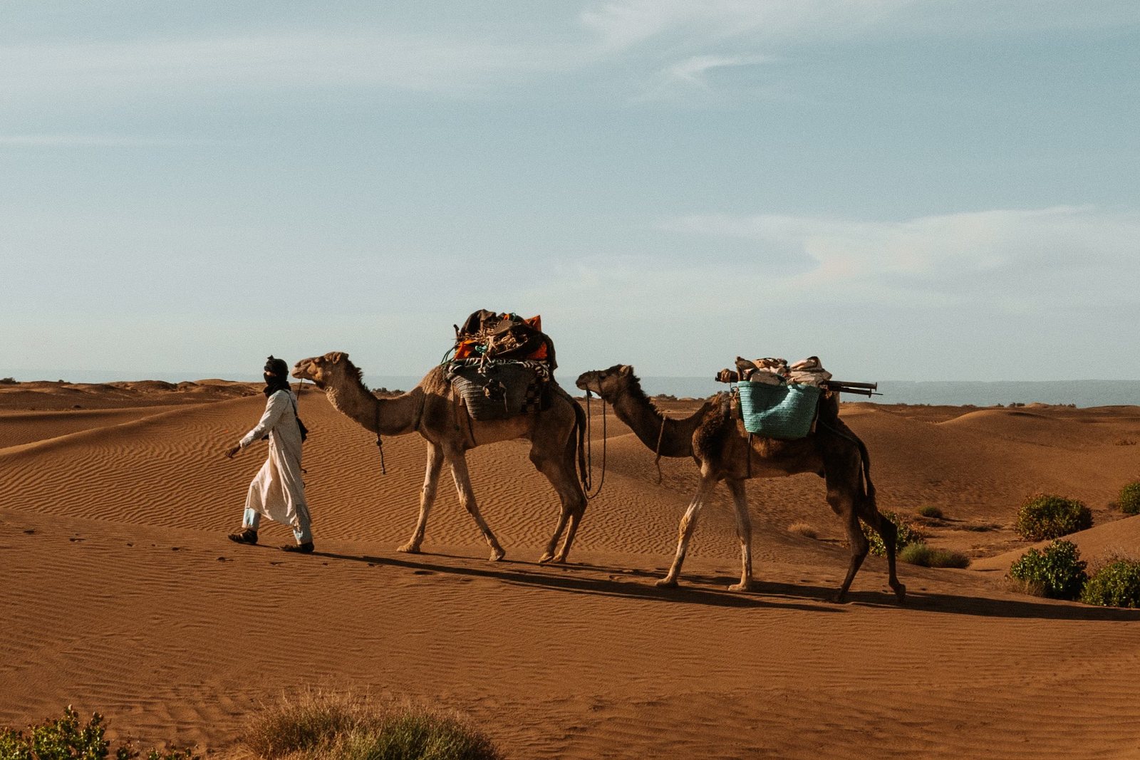 A guide leads two loaded camels across the dunes