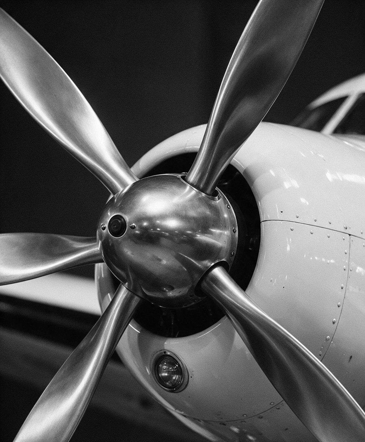 Polished aluminium propeller hub and blades of a radial aircraft engine