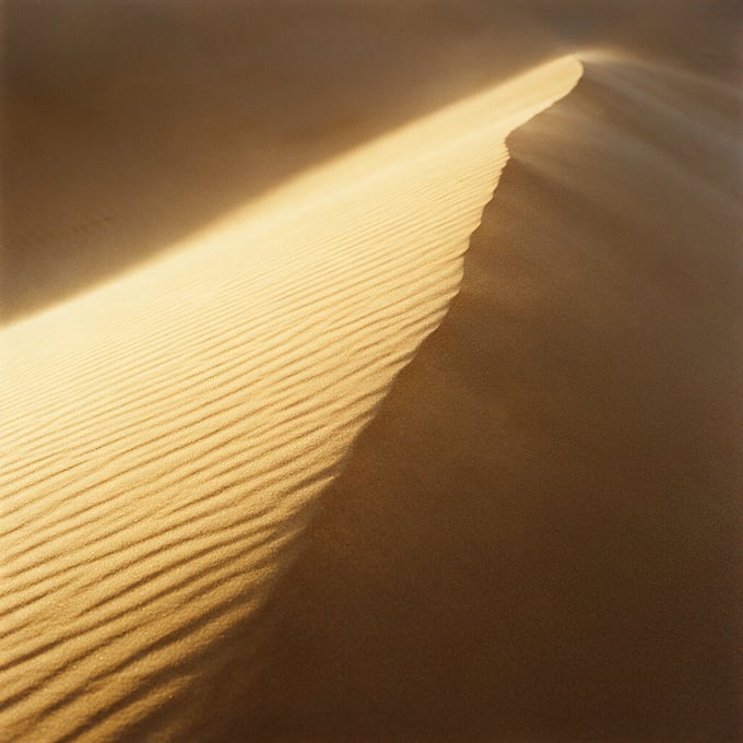 Dune crest at last light