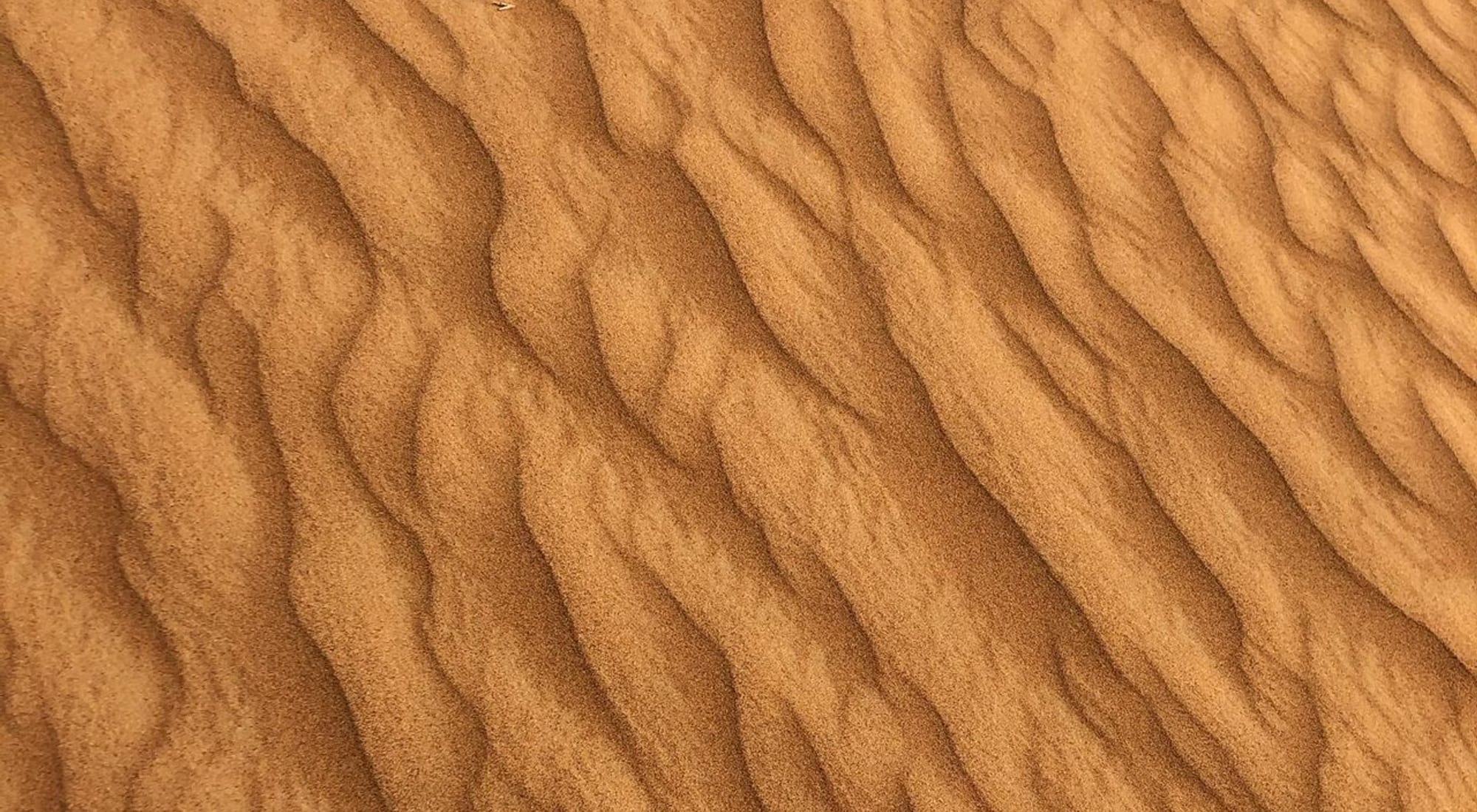 Raked ridges of warm sand-coloured grit, lit from a low angle.