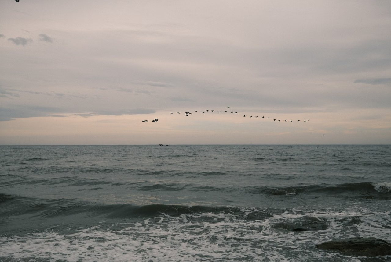 Birds crossing a grey sea at dusk