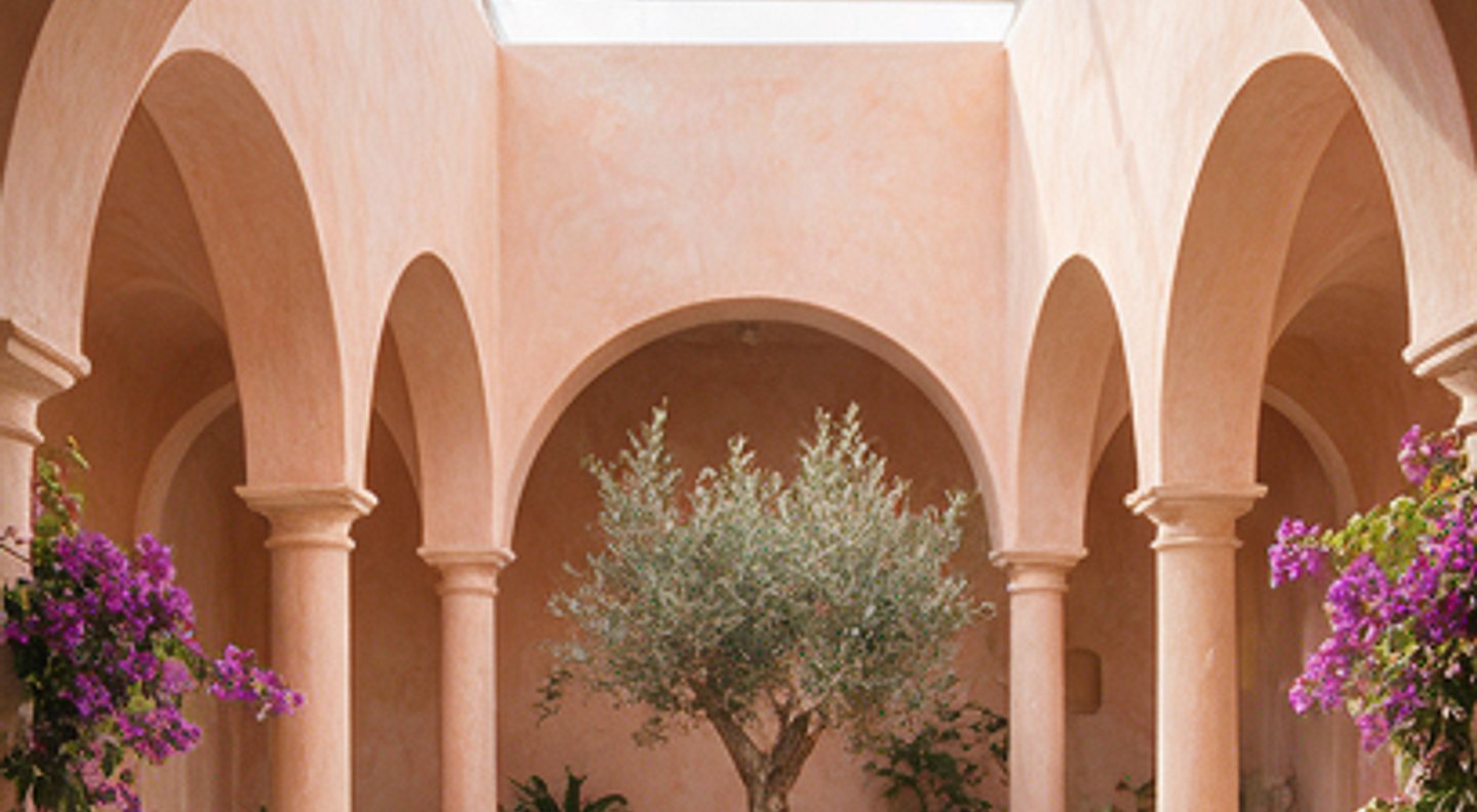 Olive tree in a rose-plaster courtyard