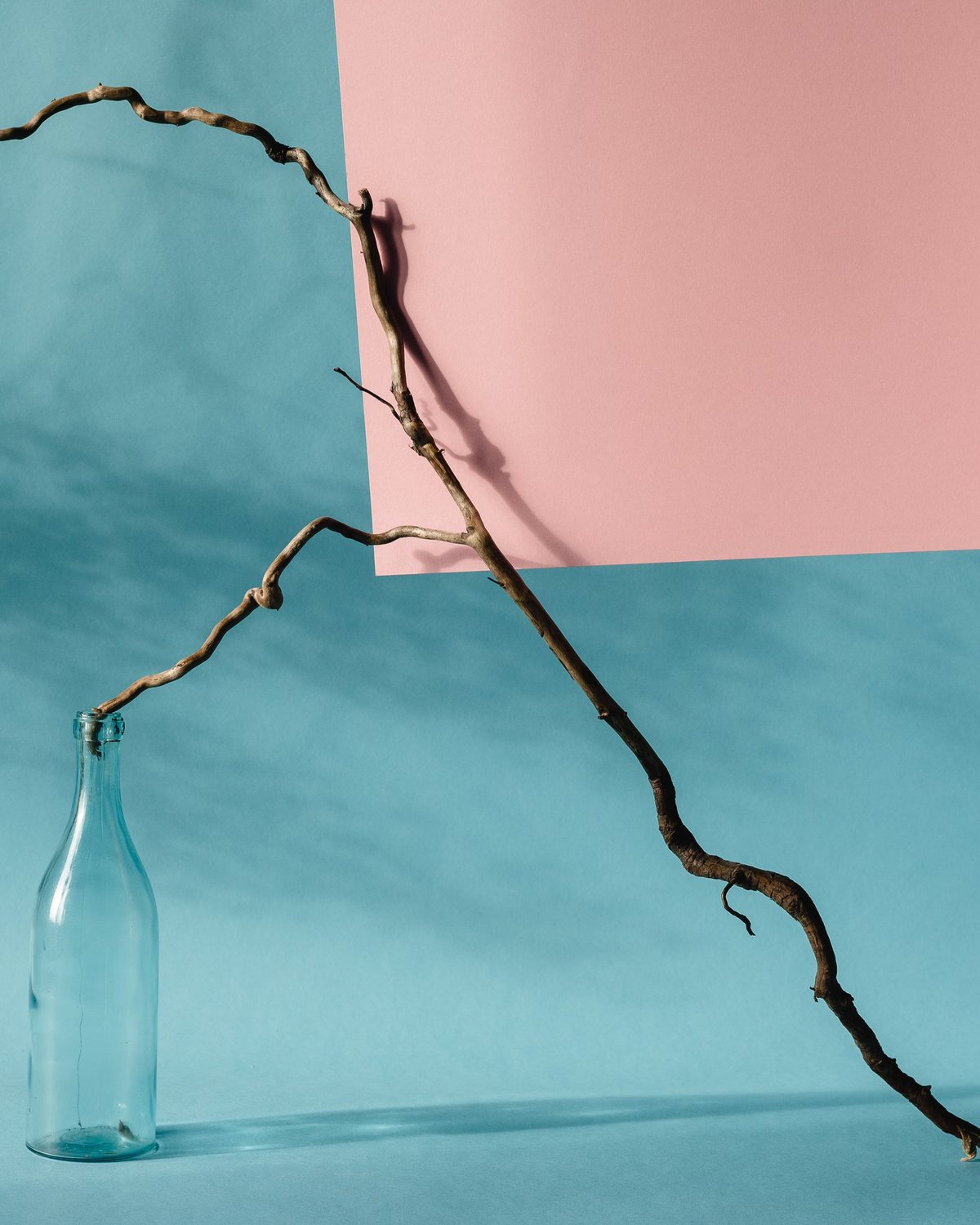 Glass bottle and dry branch on turquoise against pink