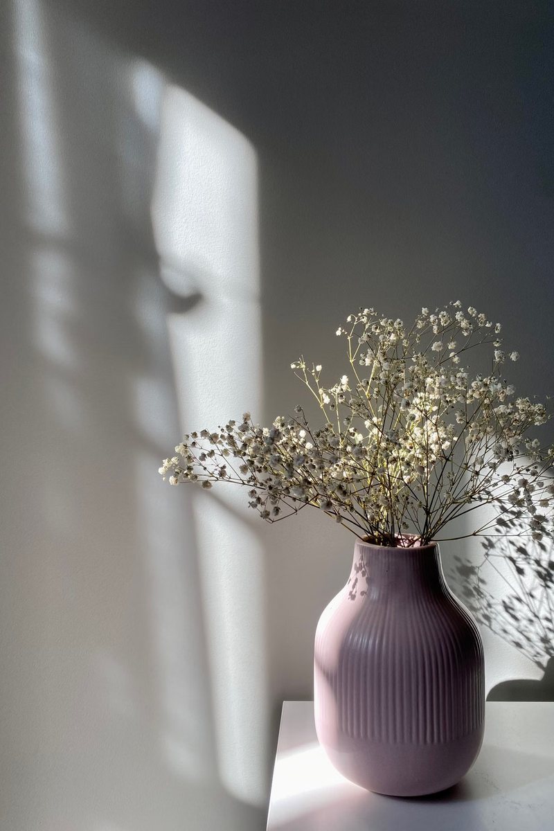 Fluted mauve vase of gypsophila in hard window light