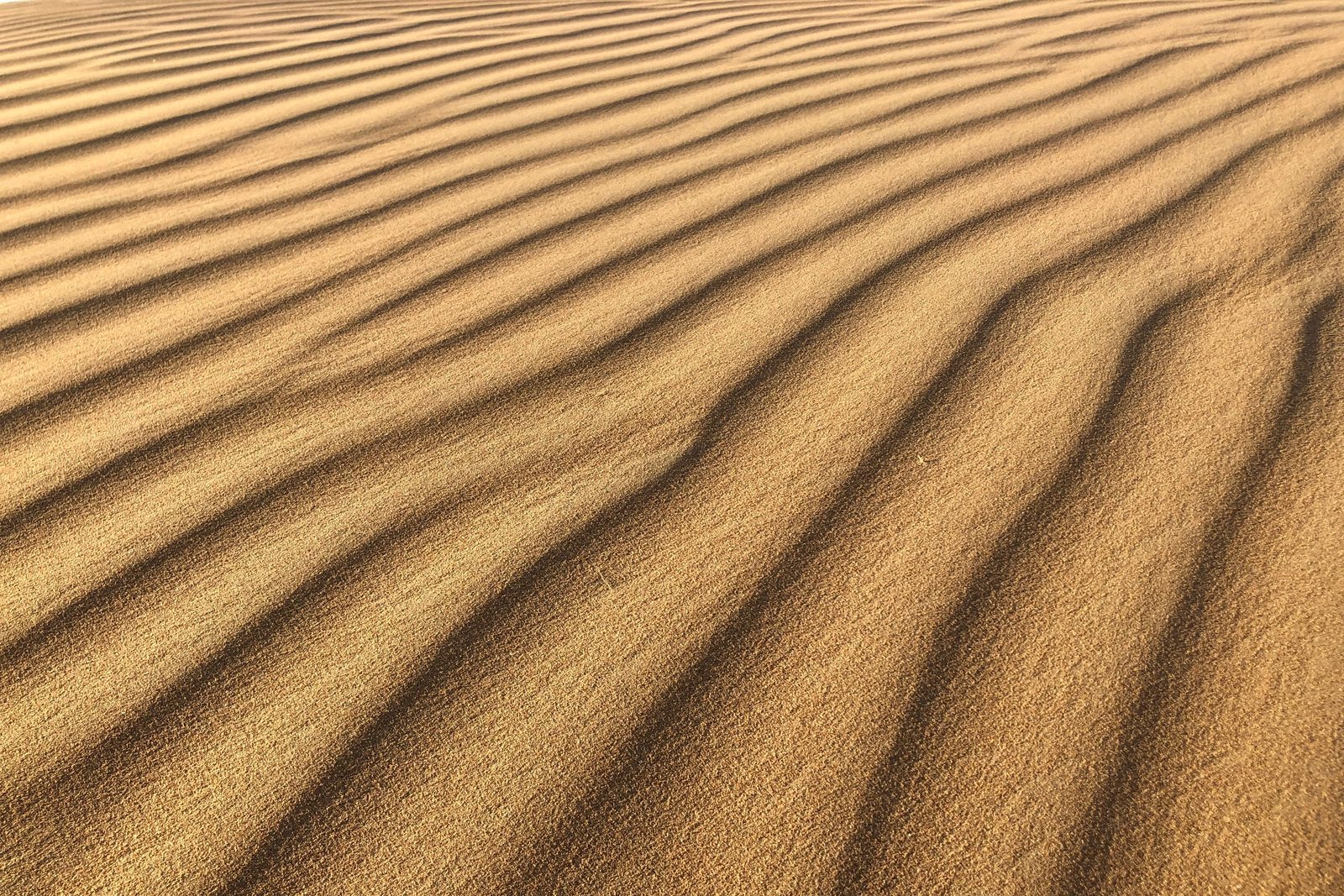 Aerial view of wind-rippled dunes