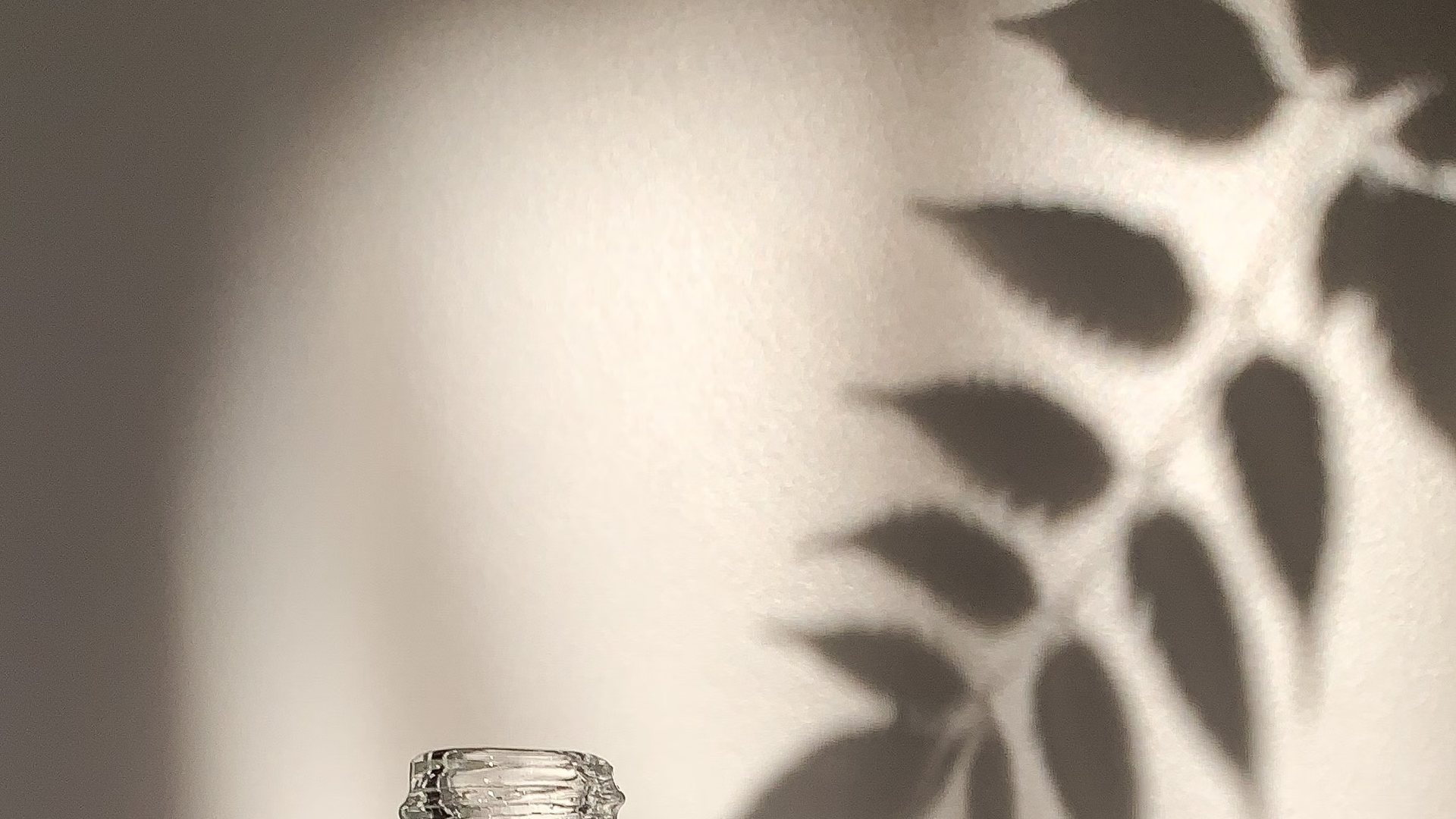 Glass bottle beneath a leaf shadow on a warm wall