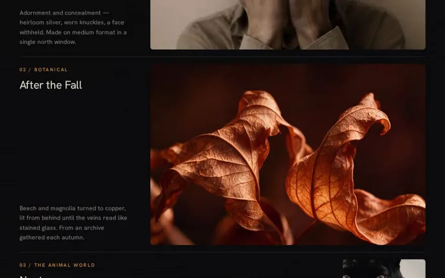 Lenis Smooth Scroll + ScrollTrigger preview