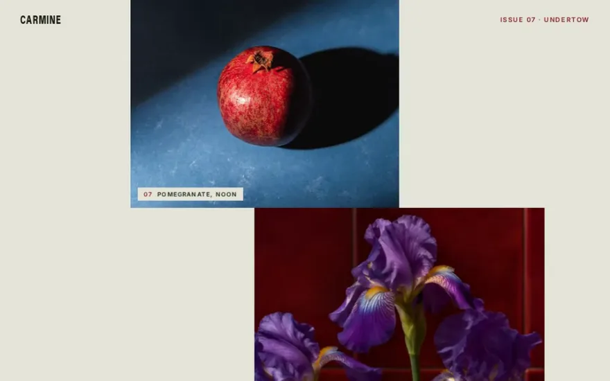 Scroll Wave Image Gallery preview